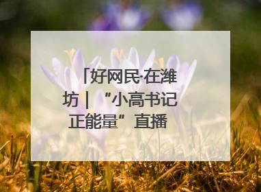 好网民·在潍坊｜“小高书记正能量”直播 带动群众致富